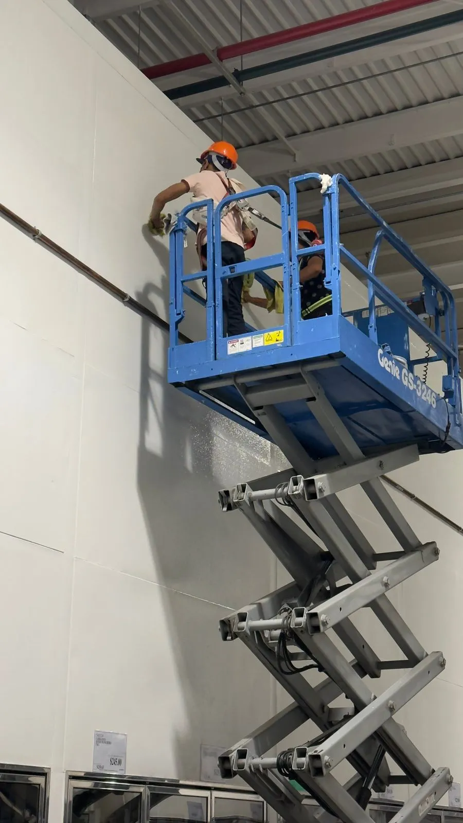 Trabajo realizado Lu Vi 12