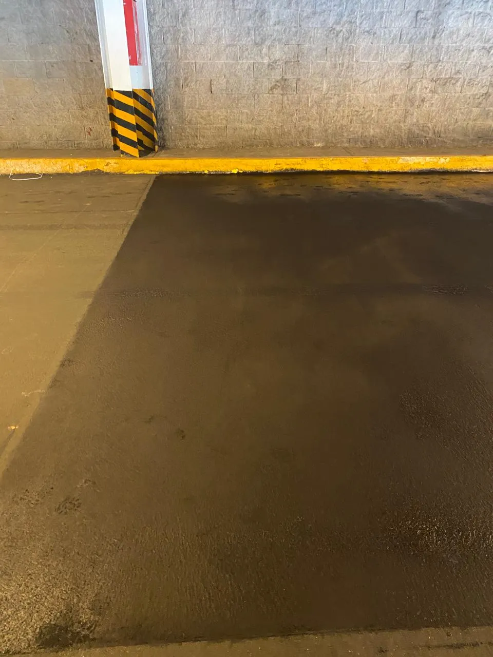 Trabajo realizado Lu Vi 17