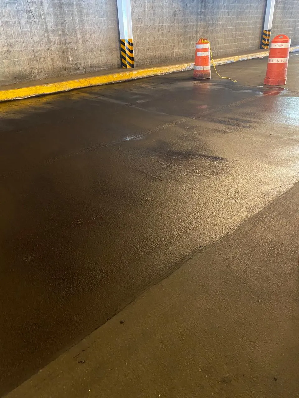 Trabajo realizado Lu Vi 18